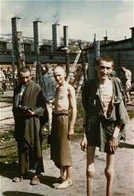 mauthausen3