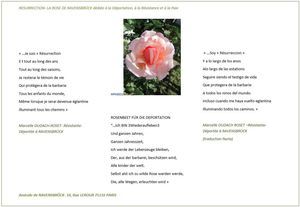 RoseRavensbruck